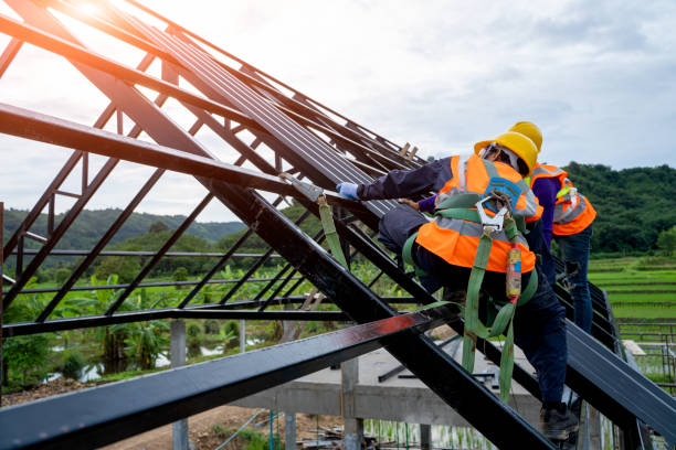 Best Storm Damage Roof Repair  in Derma, MS