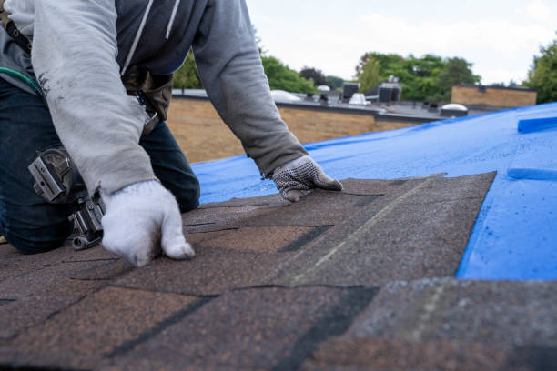 Best Commercial Roofing Services  in Derma, MS