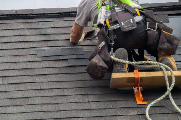 Best Roofing Contractor Near Me  in Derma, MS