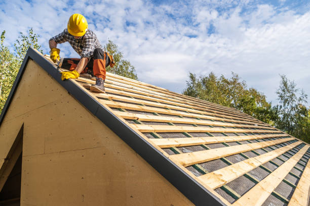 Best Gutter Installation and Roofing  in Derma, MS
