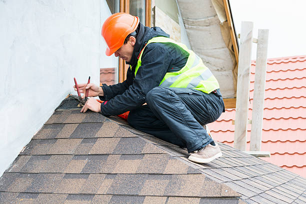Best Gutter Installation and Roofing  in Derma, MS